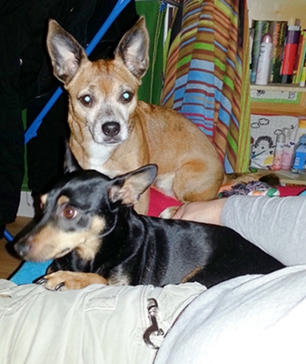 20130130_214049.jpg