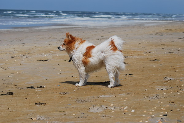 DSC_0064.jpg