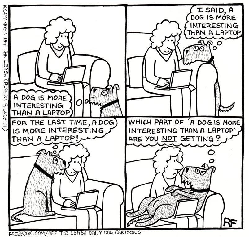 offtheleash.jpg
