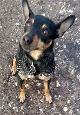 20130205_142923.jpg