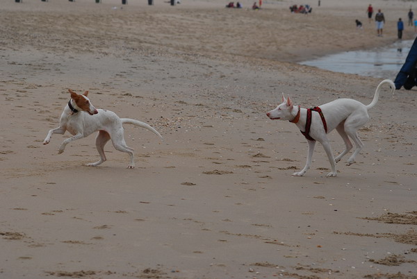 DSC_0778.jpg