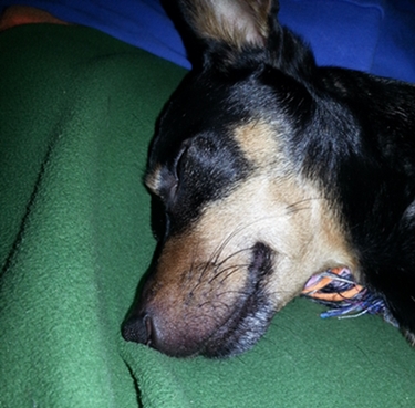 20130206_123217.jpg