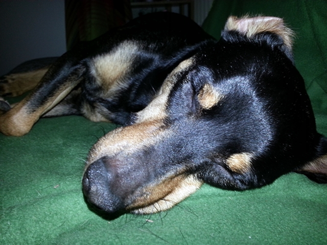 20130208_200535.jpg
