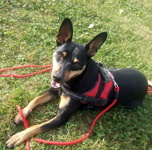 20120915_173117.jpg