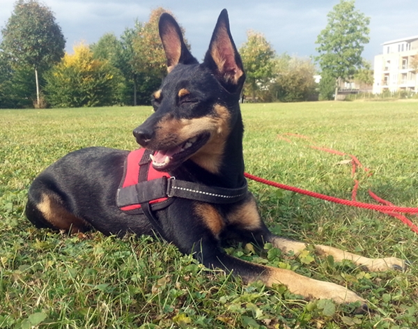 20120915_173303.jpg