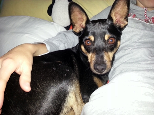 20120918_094413.jpg