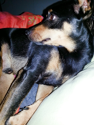 20121121_142223.jpg
