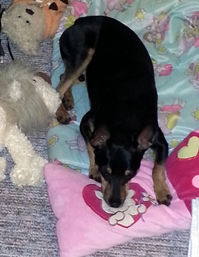 20121228_161207.jpg