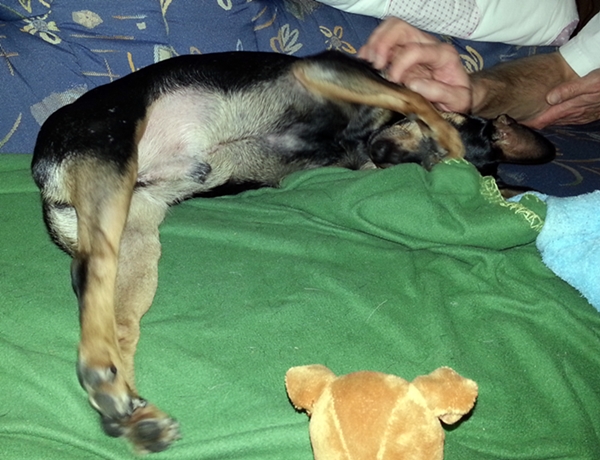 20121230_225523.jpg