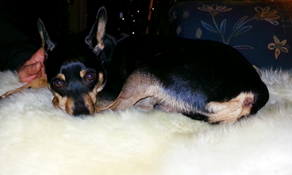 20121231_184042.jpg