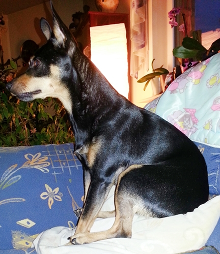 20130104_163618.jpg