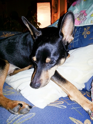 20130104_164123.jpg