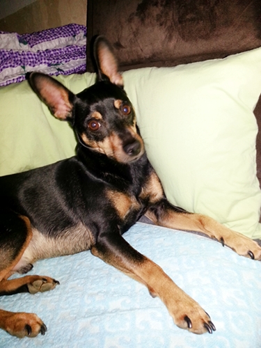 20130113_204615.jpg