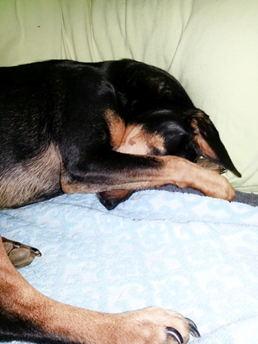 20130113_204709.jpg