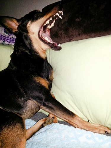 20130113_204751.jpg