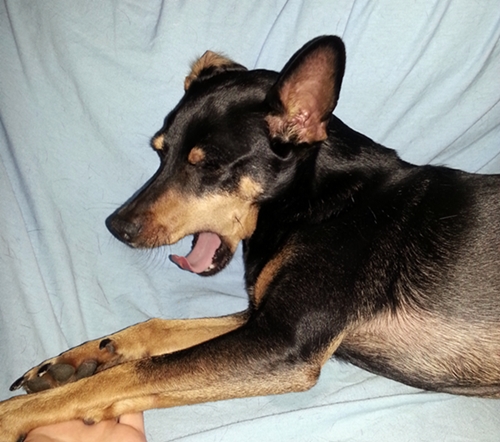 20130115_215913.jpg