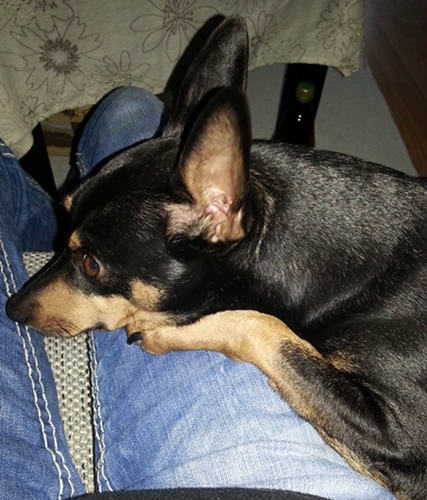 20130120_151921.jpg