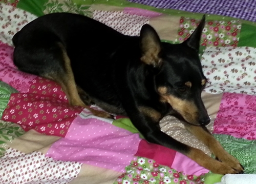 20130125_133933.jpg