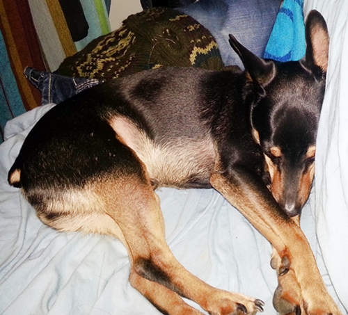 20130119_222851.jpg