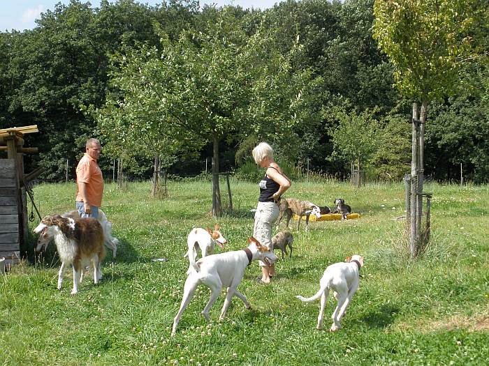Obstwiese.jpg