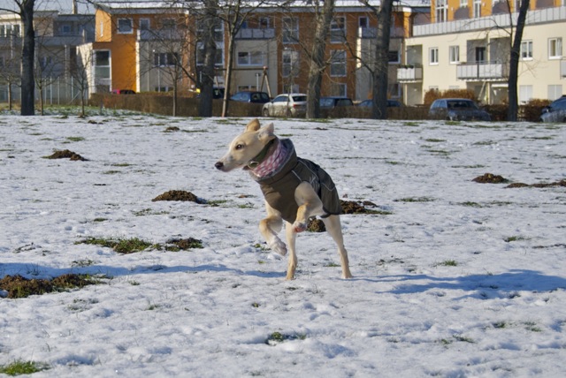 DSC_7649.jpg