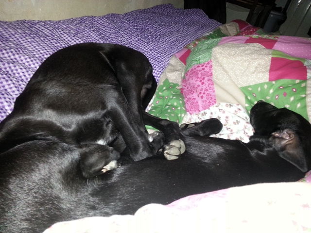 20130213_075050.jpg