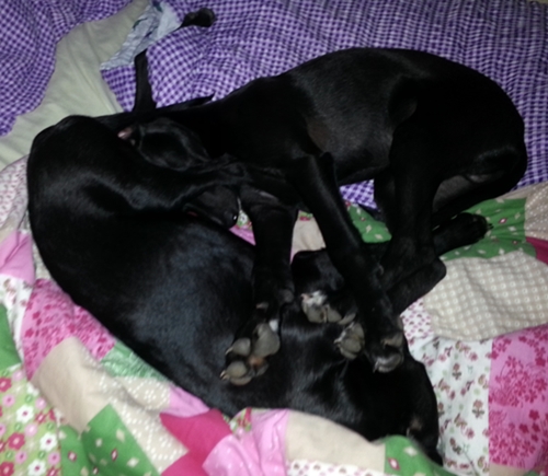 20130213_075504.jpg