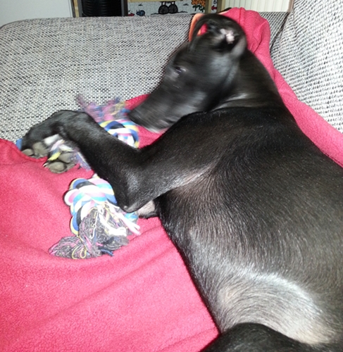 20130213_112136.jpg