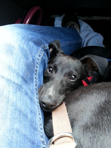 20130213_124550.jpg