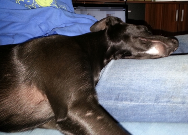 20130214_101924.jpg