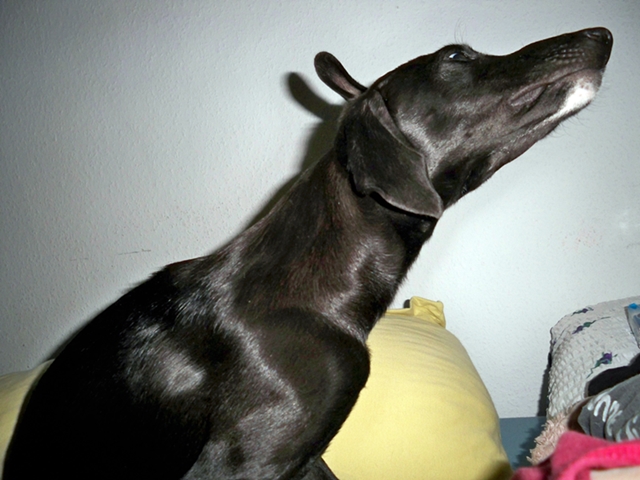 101_3361.JPG