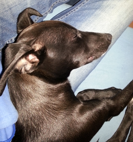 20130214_101756.jpg