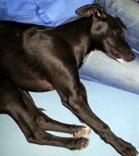 20130214_101948.jpg