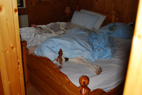 DSC_0851.jpg