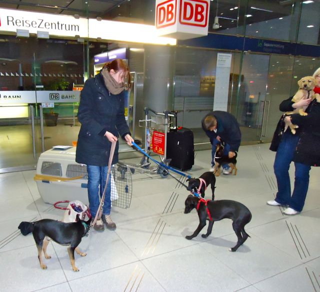 Bild 15.jpg