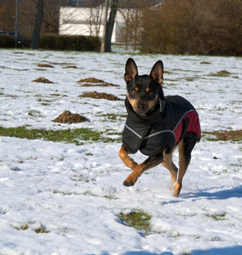 DSC_7660.jpg