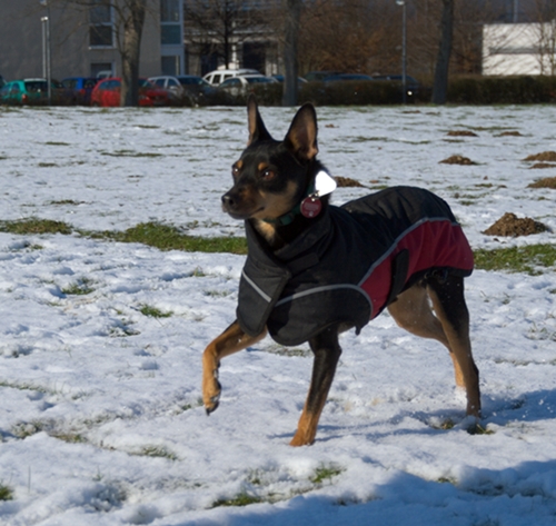DSC_7661.jpg