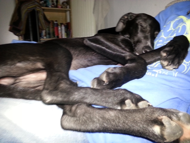 20130215_161139.jpg