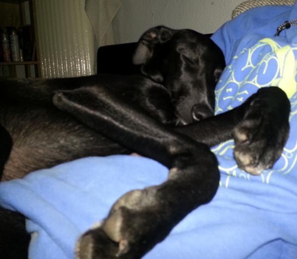 20130215_161221.jpg