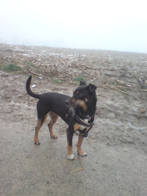 DSC00338.JPG