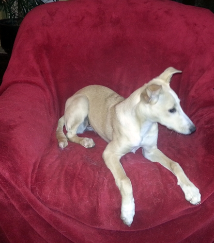 20130219_170609.jpg