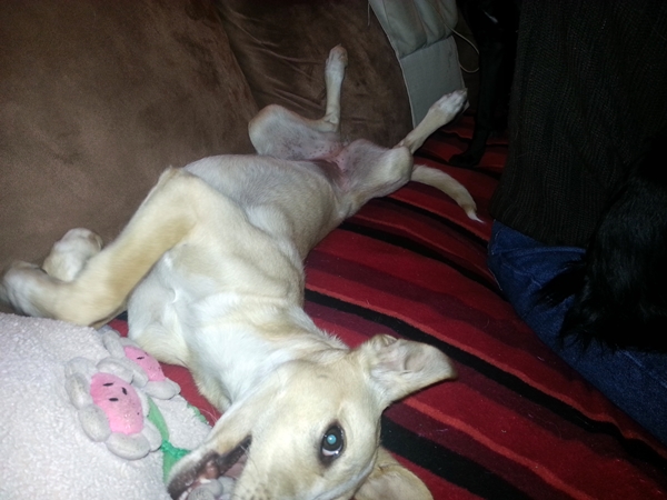 20130219_173547.jpg