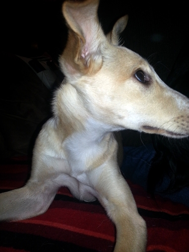 20130219_173504.jpg