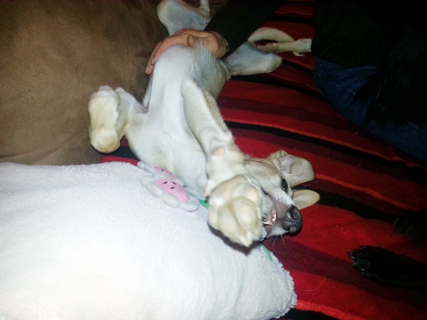 20130219_173556.jpg