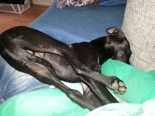 20130220_131148.jpg