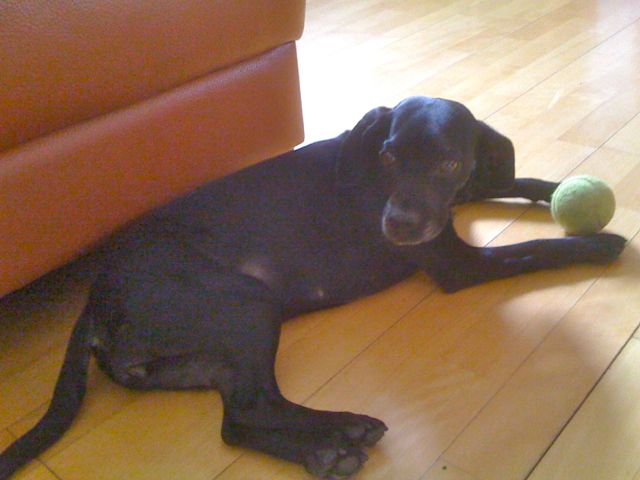 Bild 3.jpg