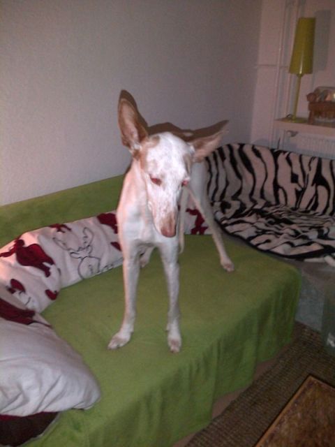 IMG-20130221-00935.jpg