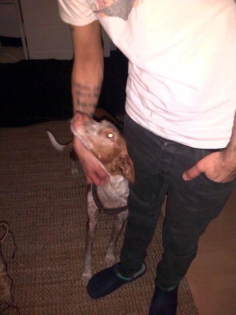 IMG-20130221-00945.jpg