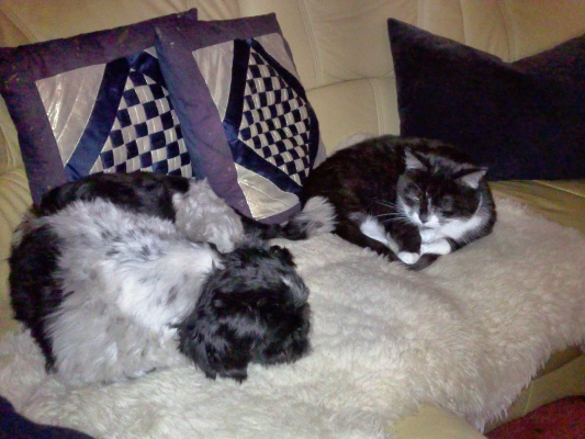 Foto0020.jpg
