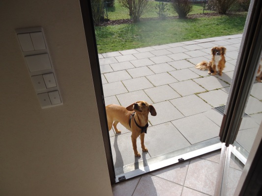 Canela 021.JPG